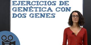 Ejercicios de genética con dos genes