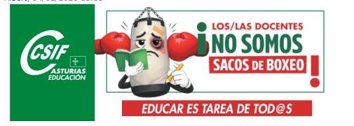 CSIF en campaña: Los docentes no somos sacos de boxeo - Qué pide exactamente la campaña
