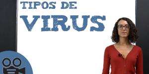 Tipos de virus
