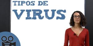 Tipos de virus