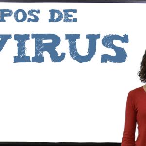 Tipos de virus