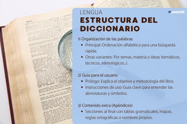 Funciones del diccionario - Funciones del diccionario: función informativa 