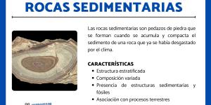 Rocas sedimentarias: características