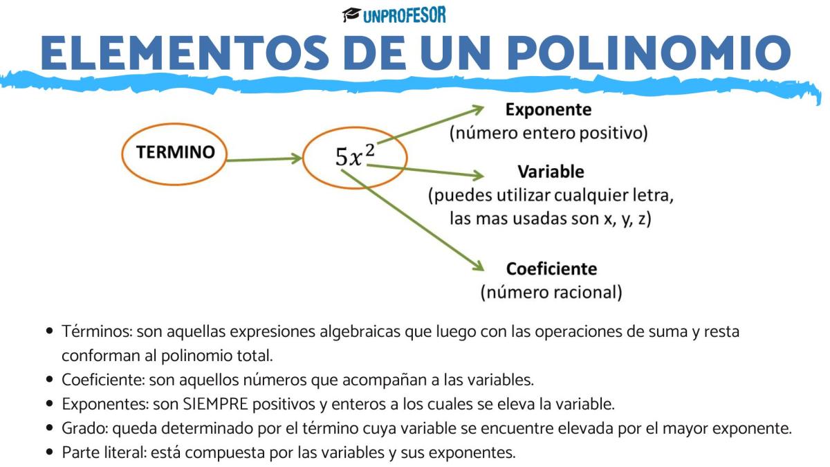 Elementos de un polinomio: ejemplos