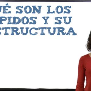 Qué son los lípidos y su estructura