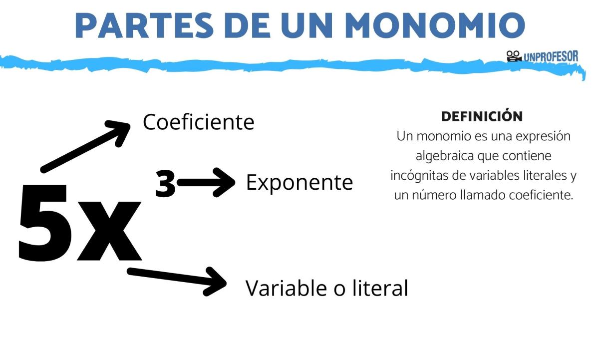 Partes de un monomio - con ejemplos