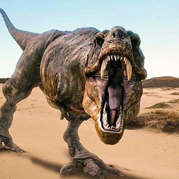 Los dinosaurios rugían? - ¡Aquí tienes la respuesta! Los dinosaurios rugían? - ¡Aquí tienes la respuesta!