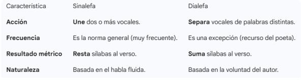 Significado de sinalefa - Ejemplos - Sinalefa y dialefa: diferencias 