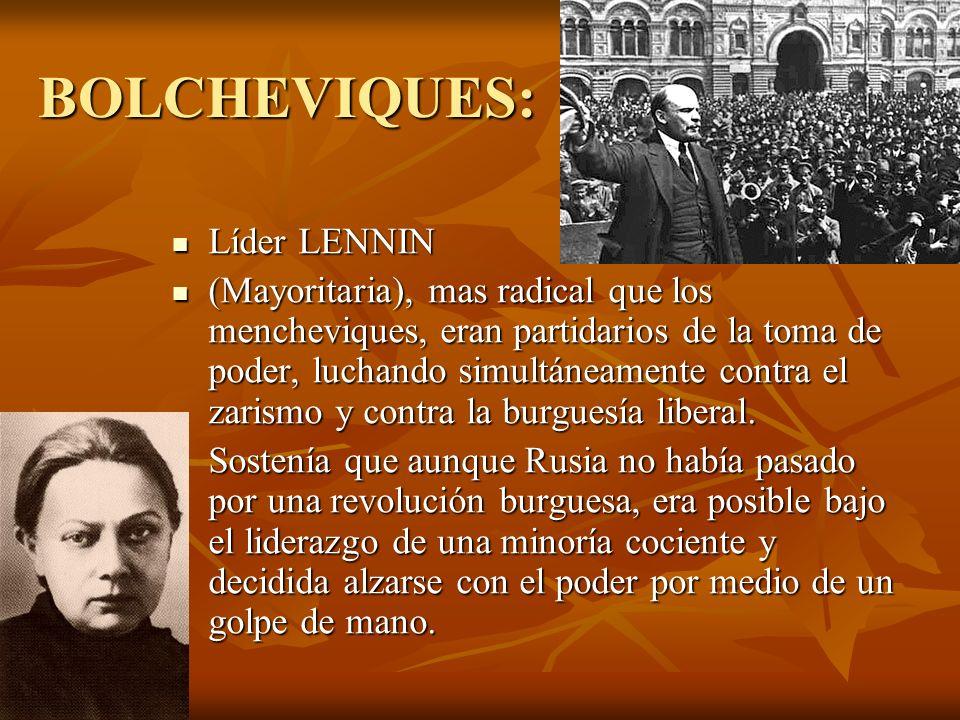 Bolcheviques y Mencheviques Resumen corto