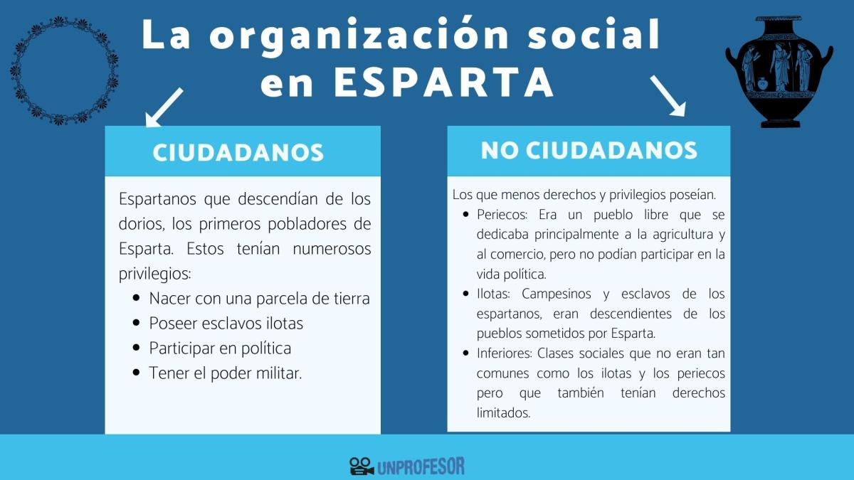 Organización social de Esparta - resumen