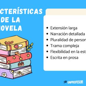 Características de la novela