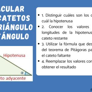 Cómo calcular los catetos de un triángulo rectángulo