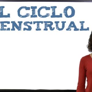 El ciclo menstrual