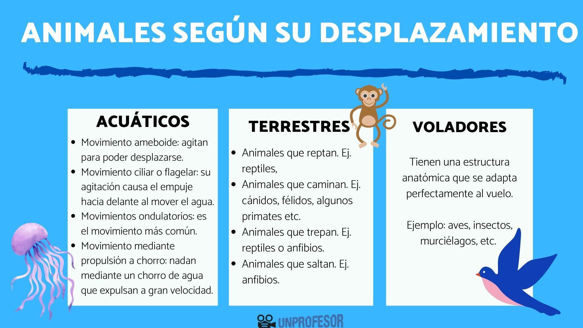 Clasificación de los ANIMALES según su DESPLAZAMIENTO con IMÁGENES