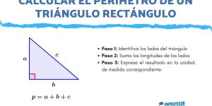 Cómo calcular el perímetro de un triángulo rectángulo