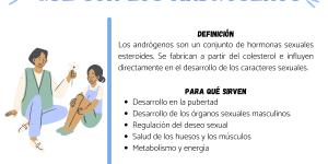 Qué son los andrógenos y para qué sirven