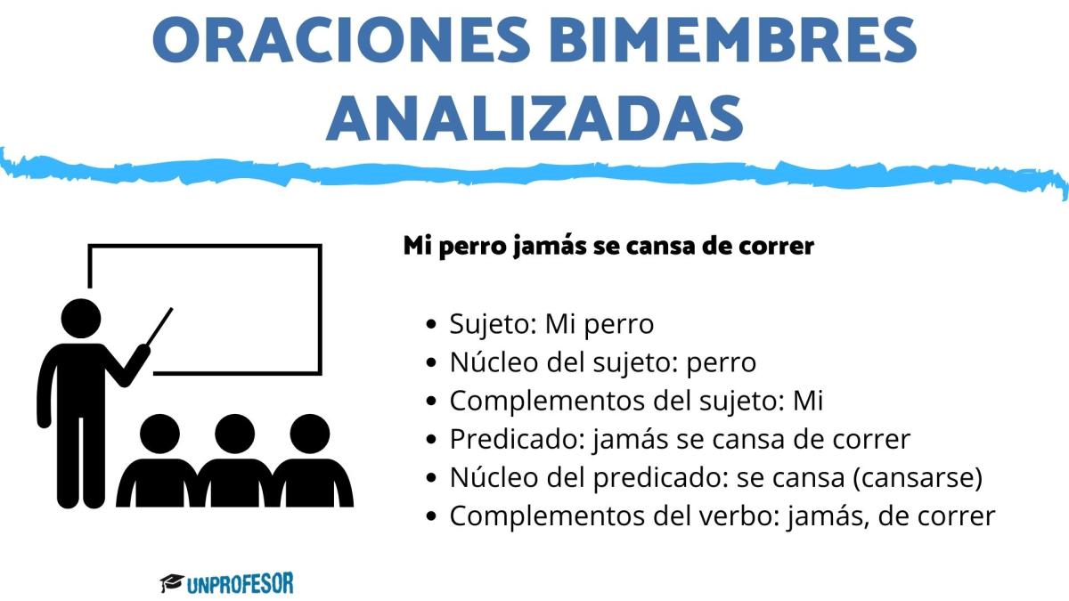 Oraciones bimembres analizadas: ejemplos