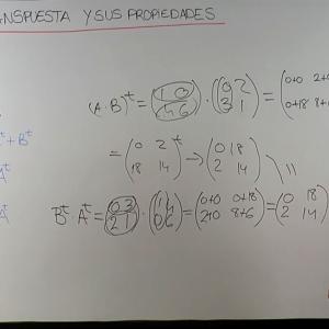 Qué es una matriz transpuesta y propiedades