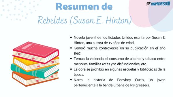 Libro de Rebeldes: resumen