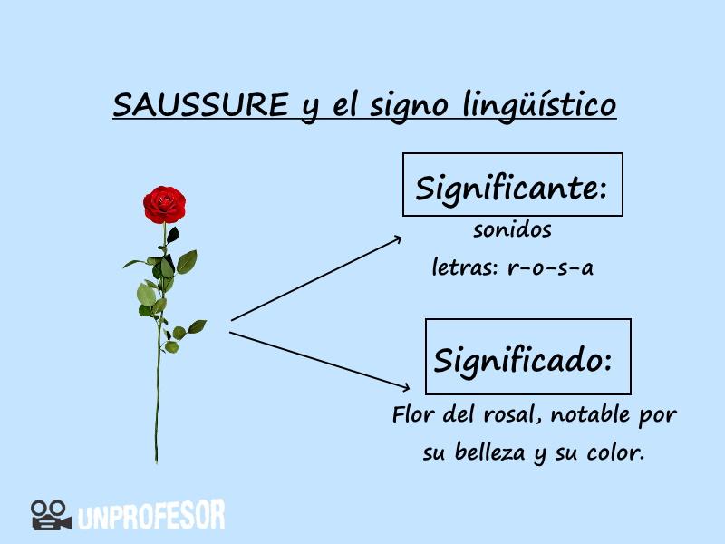 Análisis del significado y significante articulado al interior del