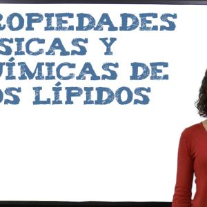 Propiedades físicas y químicas de los lípidos