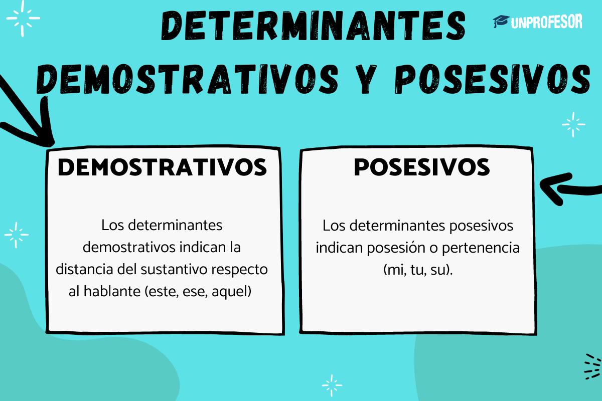 Determinantes demostrativos y posesivos - Con ejemplos