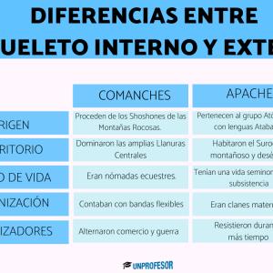 Diferencias entre Comanches y Apaches
