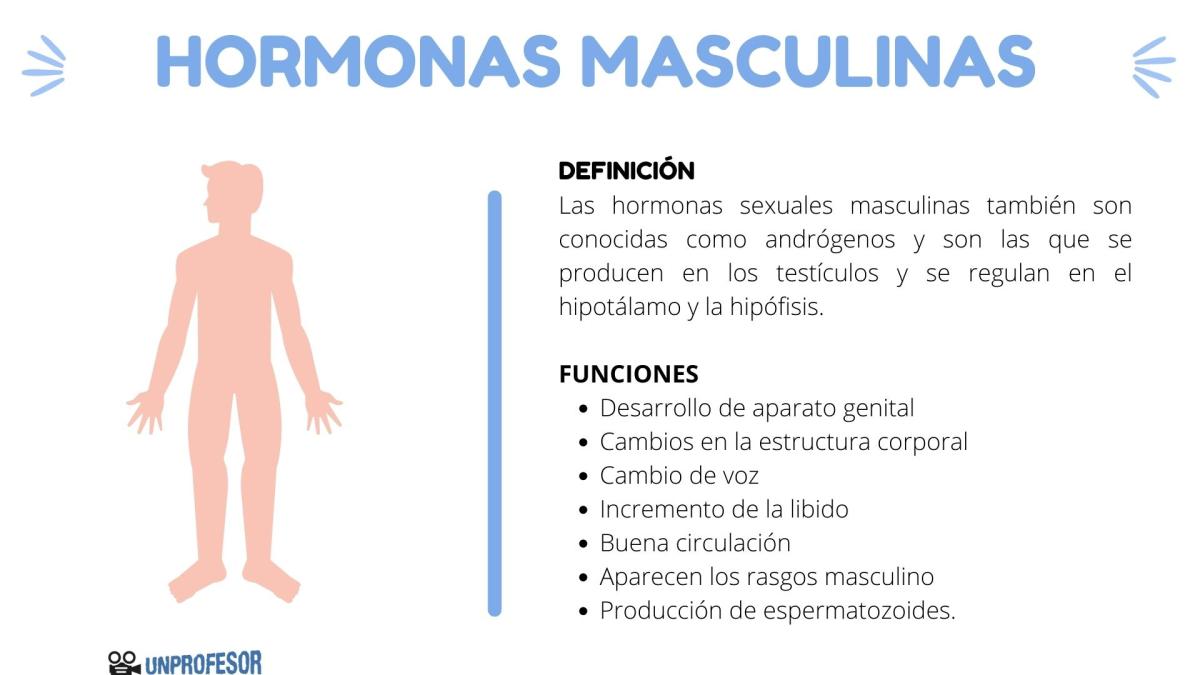 Cuáles son las hormonas masculinas y su función