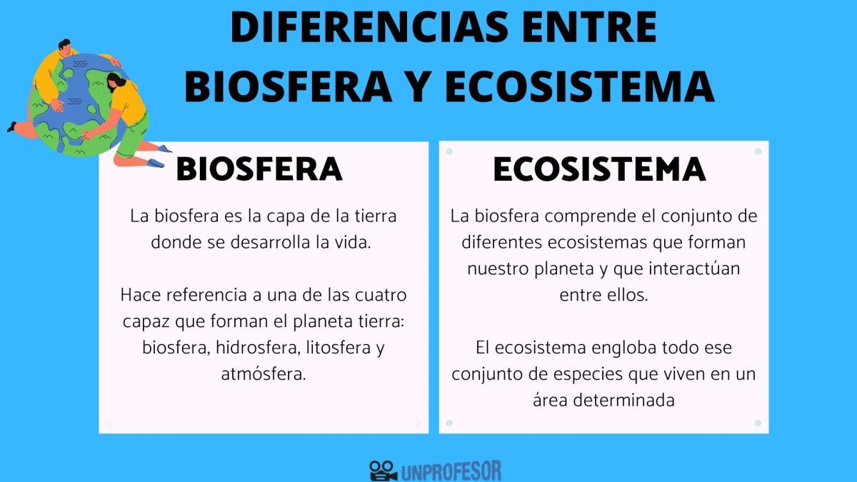 Diferencia entre biosfera y ecosistema