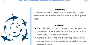 Ejemplos de comensalismo