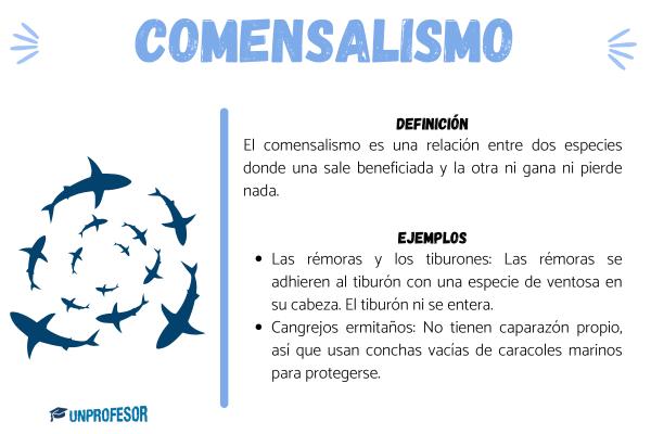 Ejemplos de comensalismo