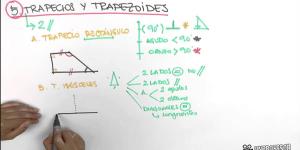 Qué es un trapecio y trapezoide