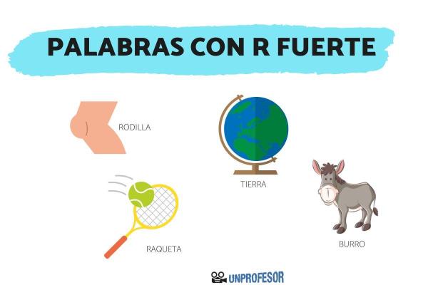 Cuáles son las normas ortográficas y ejemplos - Uso de la R