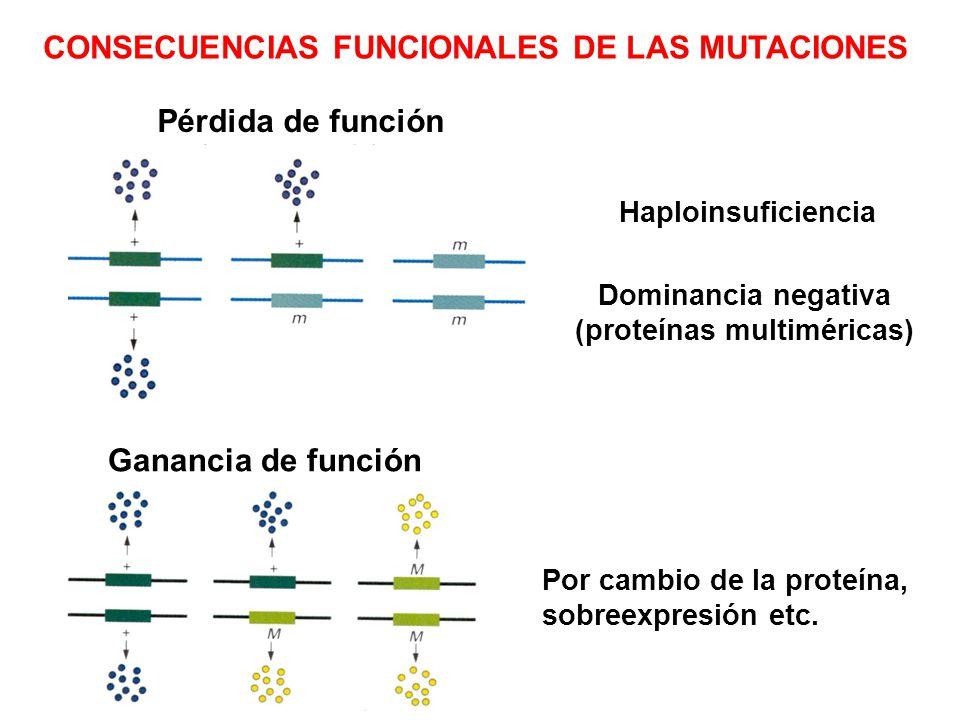 Consecuencias De Las MUTACIONES - RESUMEN Completo!!