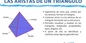 Cuáles son las aristas de un triángulo