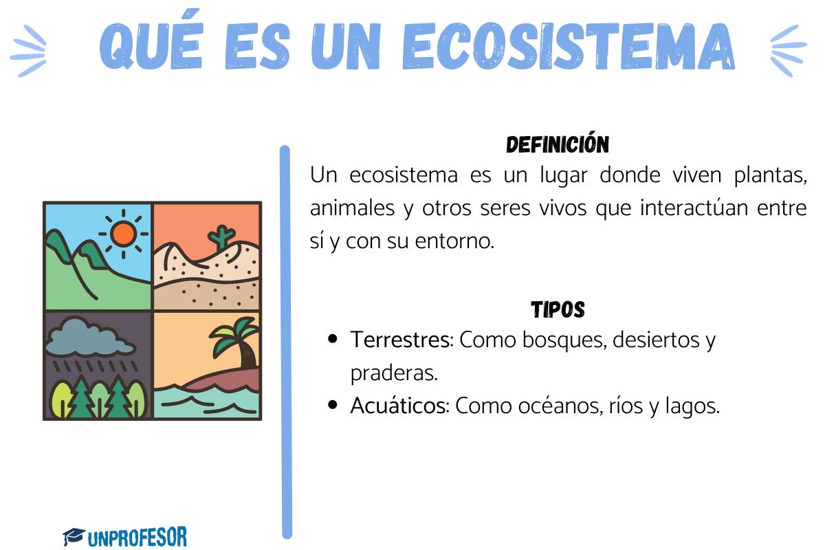 Ecosistema: definición para niños