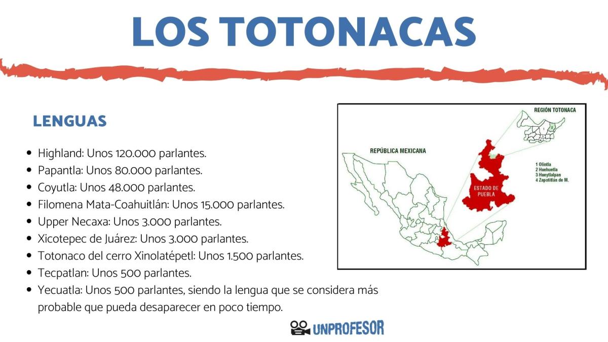 Totonacas: ubicación y lengua