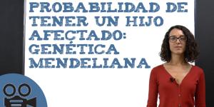 Probabilidad de tener un hijo afectado: genética mendeliana