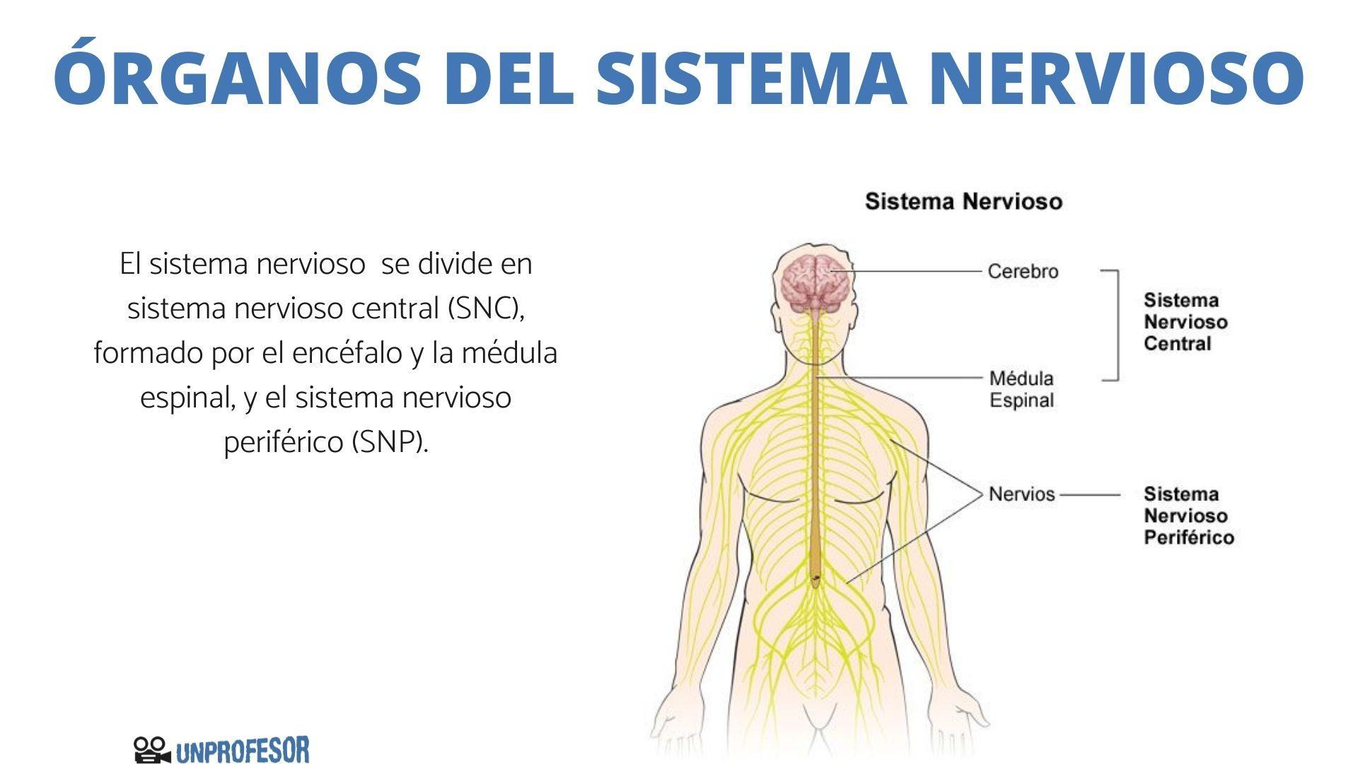 Ranura del sistema
