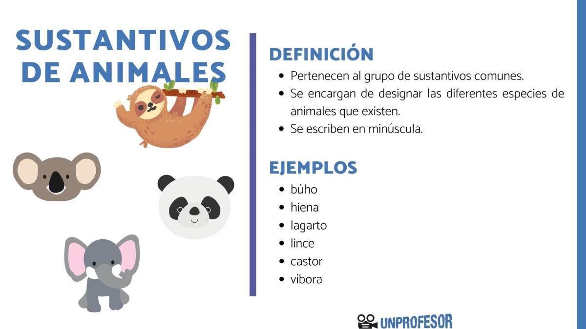 Qué son los sustantivos de animales - con ejemplos