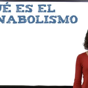 Qué es el anabolismo