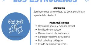 Qué son los estrógenos y para qué sirven