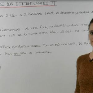 Propiedades de los determinantes II