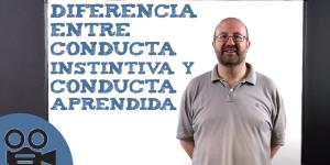 Diferencia entre conducta instintiva y conducta aprendida