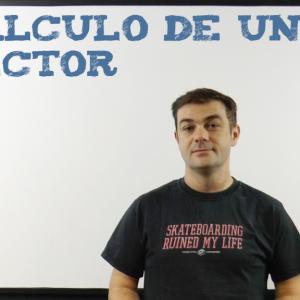 Cálculo de un vector