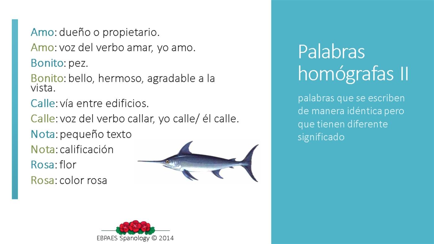 Palabras homógrafas definición y ejemplos