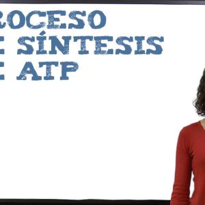 Proceso de síntesis de ATP