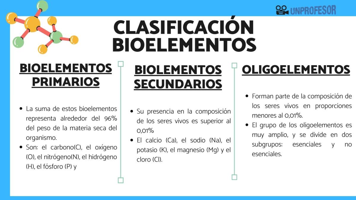 Clasificación de los bioelementos