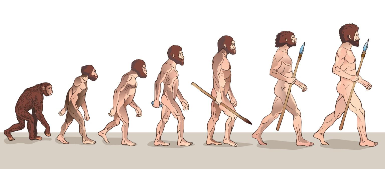 diferencias_entre_cromanon_y_neardental_1865_orig.jpg