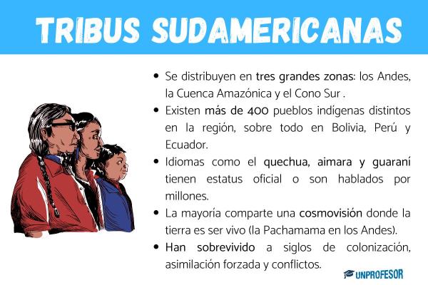 Cultura guaraní: resumen - ¿Cuáles son las costumbres de los guaraníes? 